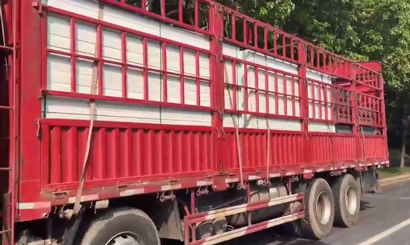 旭東PVC圍擋批發(fā)直供龍崗工地，2500米圍擋當(dāng)天閃電送達(dá)